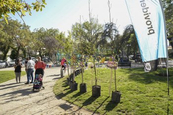 Providencia invita a sus vecinos participar del curso sobre arbolado urbano