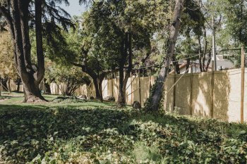 Providencia realizará completa remodelación a la plaza El Bosque