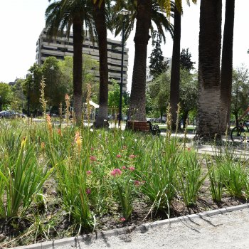 Invitamos a nuestros vecinos a participar en la construcción de sus propios Jardines Sustentables