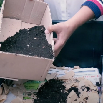 Cómo armar tu propia vermicompostera en casa