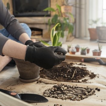 Te invitamos a “Manos a las Plantas”, taller sobre jardinería de invierno