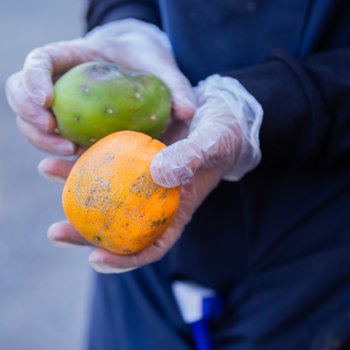 Participa en los talleres para minimizar el Desperdicio de Alimentos