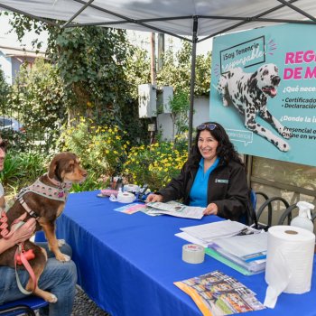 #SoyTenenciaResponsable: Nueva jornada en la Plaza Uruguay