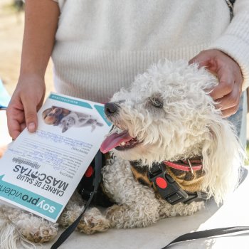 Charla online sobre Tenencia Responsable de Mascotas Unidad Vecinal N°15