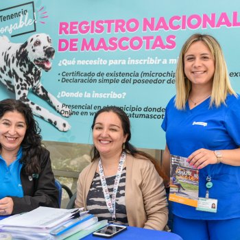 Estos son nuestros operativos de mascotas en diciembre