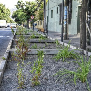 Más de 15 mil M2 de Jardines Sustentables plantaremos este 2023