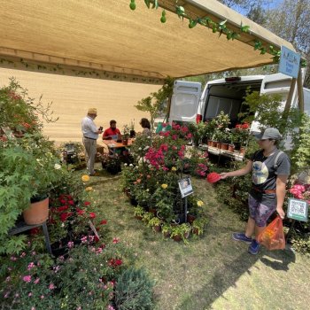 Comienza la primavera y regresa “Eco Fest, Manos a las Plantas”