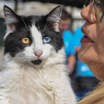 Ruta Pet Friendly en Barrio Italia: Mascotas y sus dueños disfrutaron a pesar del frío