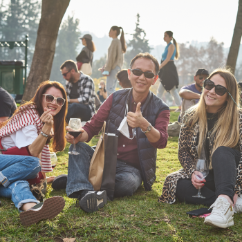 Celebración del Día del Vino reunirá en Providencia más de 50 stands de viñas de todo Chile