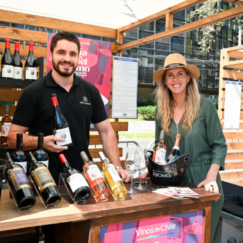 Se acerca el Día Nacional del Vino: conoce de qué se tratará la fiesta de dos días en Providencia