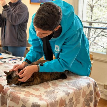 Estos son nuestros operativos veterinarios preventivos durante octubre