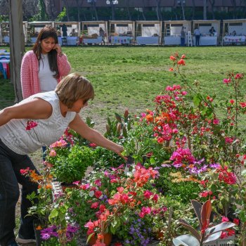 Se viene “Eco Fest 2024” con grandes sorpresas para toda la familia