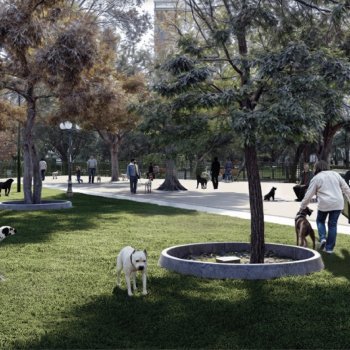 Comienzan obras de mejoras en Zona Canina Parque Inés de Suárez