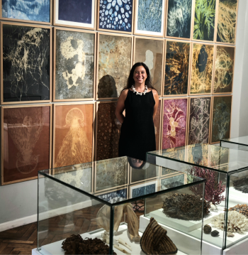 Exposición "Nidos submarinos" de María Luisa Donoso