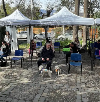 Operativo "Activando Providencia"- El Cerro 1731 (Exclusivo comunidad)