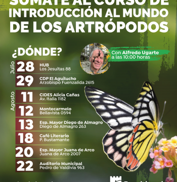 Curso Introducción al Mundo de los Artrópodos