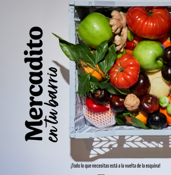 Micro Ferias Libres “Mercadito en tu Barrio”