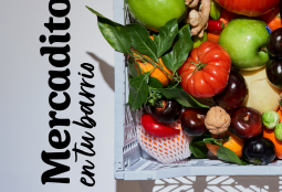 Micro Ferias Libres “Mercadito en tu Barrio”