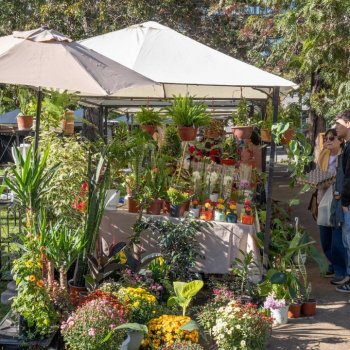 Vive la Primavera: Emprendimientos y talleres en Calle Santa Magdalena