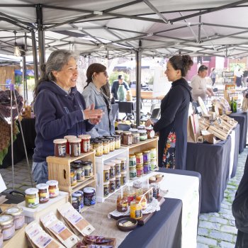 Llega a Montecarmelo el Emporio Vinos Patrimoniales: vino, arte y cultura en Providencia