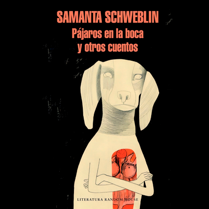 Pájaros en la Boca