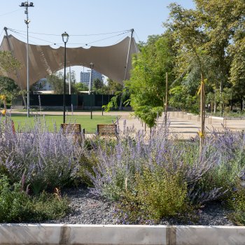 Comienza renovación del toldo del Anfiteatro del Parque Bustamante
