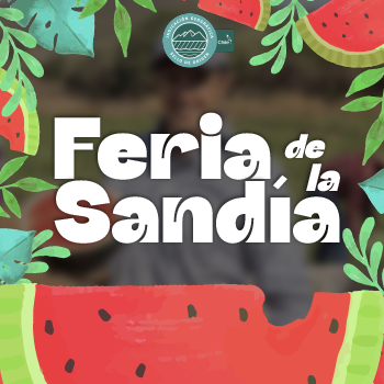Providencia tendrá su primera feria de la sandía