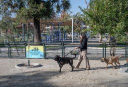 Plaza Río de Janeiro: ya está habilitada la renovada zona canina