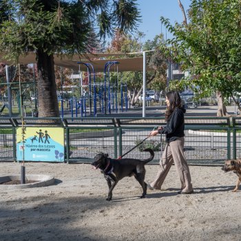 Plaza Río de Janeiro: ya está habilitada la renovada zona canina
