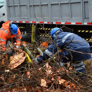 Ante la emergencia: Activa el modo invierno